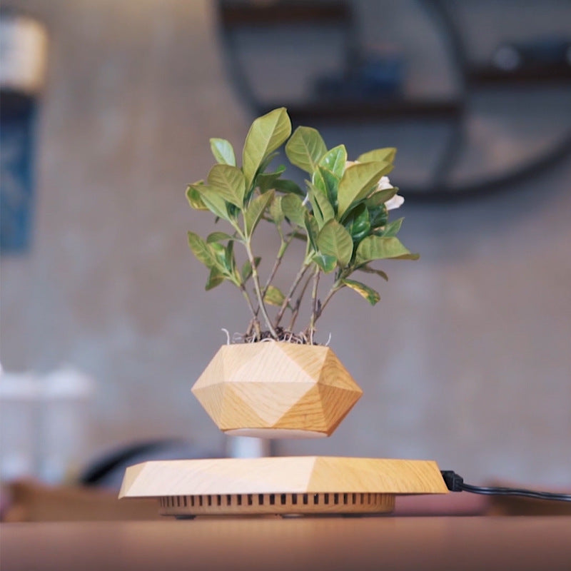 BloomLevitate™ – Magnetic Levitating Geometric Plant Display
